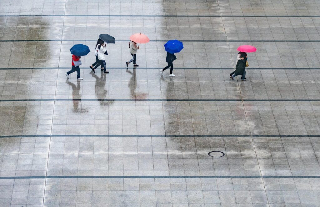 rain, people, nature, umbrellas, wet, weather, thunderstorm